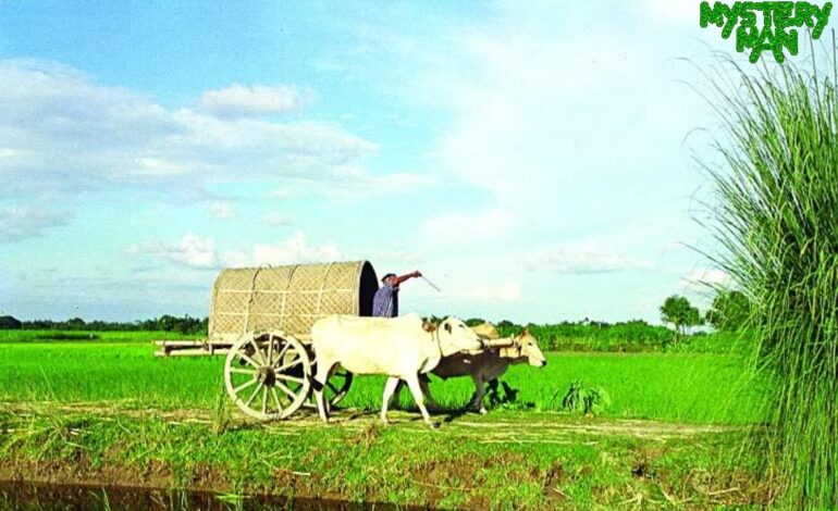 ছন্দ নিয়ে কিছু সহজ কথা