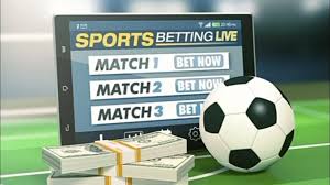 Exploring the Thrills of Haki Bet Your Guide to Online Betting Exploring the Thrills of Haki Bet Your Guide to Online Betting
