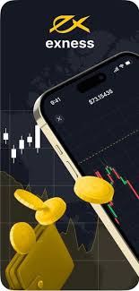Comprehensive Exness Information Your Guide to Trading Success Comprehensive Exness Information Your Guide to Trading Success