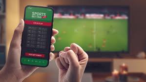 Online Casino Regulations and Licensing 5